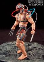 Weapon X (Wolverine/Logan) (Marvel Legends) Custom Action Figure