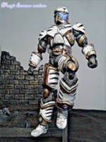 Satria harimau Torga ice mode (S.H. Figuarts) Custom Action Figure