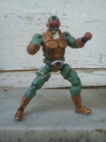 Kamen Rider 4 (Kamen / Masked Riders) Custom Action Figure