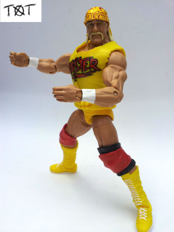 Hulk Hogan WCW (Wrestling) Custom Action Figure