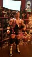 King of Harts Owen Hart (Wrestling) Custom Action Figure