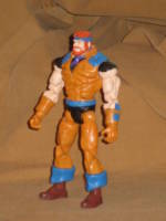 Sea Hawk (Masters of the Universe) Custom Action Figure