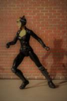 Catwoman (DC Universe) Custom Action Figure