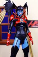 Red Lantern BLEEZ (Dc Universe Classics by HKC) (DC Universe) Custom Action Figure