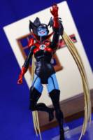 Red Lantern BLEEZ (Dc Universe Classics by HKC) (DC Universe) Custom Action Figure
