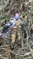 Parson Agamids (Original) Custom Action Figure [Parson Agamids]