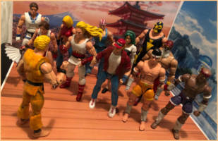 Terry Bogard (Fatal Fury) Custom Action Figure