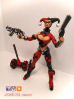 Harley Quinn (DC Universe) Custom Action Figure