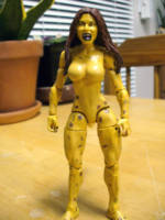 Barbara Minerva - Cheetah (DC Universe) Custom Action Figure
