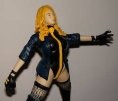 Black canary (Total Justice) Custom Action Figure