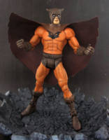 DC Flying Fox (DC Universe) Custom Action Figure