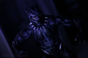 Black Planther (Vibranium Charged) (Marvel Legends) Custom Action Figure