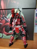 Predator Hellspawn (Predator) Custom Action Figure
