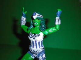 Wonder She Hulk (Amalgam) Custom Action Figure
