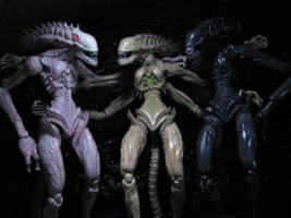 Terry the Alien (Aliens) Custom Action Figure