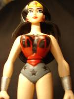 Wonder Woman (Superman) Custom Action Figure