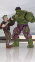 Incredible Hulk (Marvel Legends) Custom Action Figure
