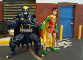 Dark Claw And Sparrow (Amalgam) Custom Action Figure