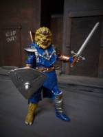 King Lionheart (Teenage Mutant Ninja Turtles) Custom Action Figure
