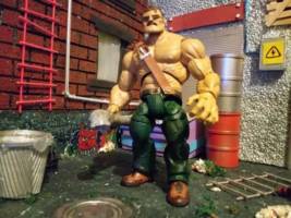 Mike Haggar Final Fight (Final Fight) Custom Action Figure