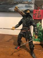 Taka Imshi , Ninja Assassin (Dungeons and Dragons) Custom Action Figure
