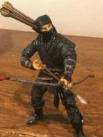 Taka Imshi , Ninja Assassin (Dungeons and Dragons) Custom Action Figure