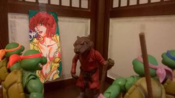 Master Splinter (Teenage Mutant Ninja Turtles) Custom Action Figure [Which one of you took my Irma poster?!]