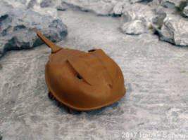 Stark the transforming horseshoe crab (Original) Custom Action Figure [3d printed transforming horseshoe crab]
