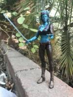 Aayla Secura (Star Wars) Custom Action Figure