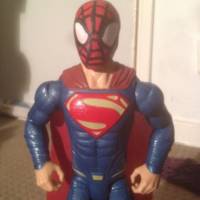 The Super Arachnid Teen (Amalgam) Custom Action Figure
