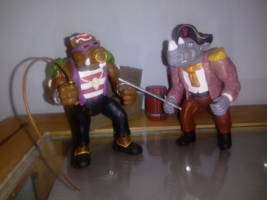 Bebop & Rocksteady Pirates (Teenage Mutant Ninja Turtles) Custom Action Figure