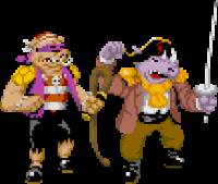 Bebop & Rocksteady Pirates (Teenage Mutant Ninja Turtles) Custom Action Figure
