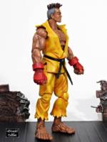 Sean (Street Fighter) Custom Action Figure