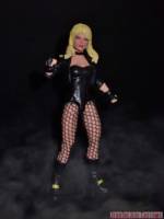 Black Canary (DC Universe) Custom Action Figure