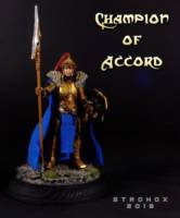 Champion of Accord (Fantasy) Custom Action Figure