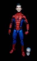 Unmasked Spiderman Peter Parker/Stan Lee (Marvel Legends) Custom Action Figure