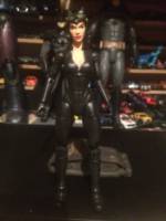 Catwoman (Batman) Custom Action Figure