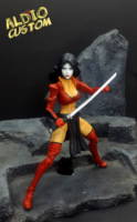 shi (Crossover) Custom Action Figure