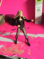 Black Canary (DC Universe) Custom Action Figure