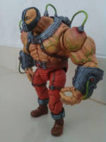Bane (DC Universe) Custom Action Figure
